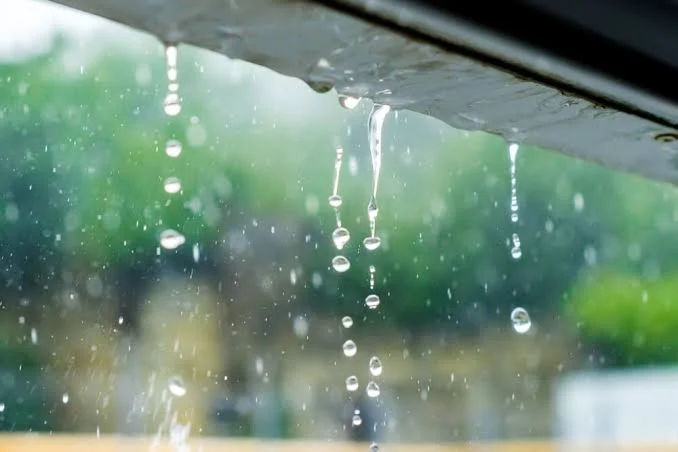 rain water